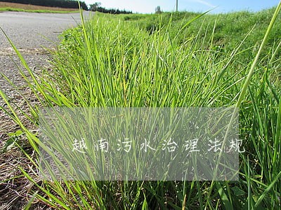 越南污水治理法规 越南污水治理法规
