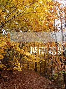 越南籍妇女被拐除触犯我国刑法