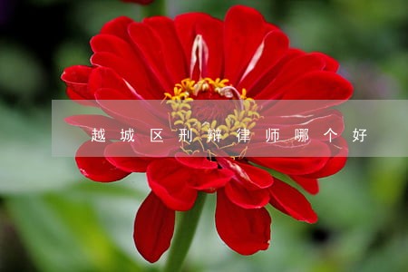 越城区刑辩律师哪个好