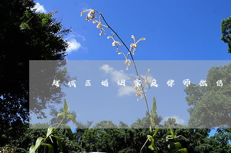 越城区婚姻家庭律师微信咨询 越城区婚姻家庭律师微信咨询