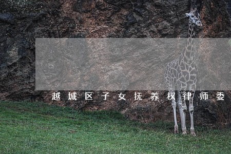 越城区子女抚养权律师委托步骤 越城区子女抚养权律师委托步骤