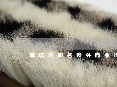 越城区知名涉外商业律师 越城区知名涉外商业律师