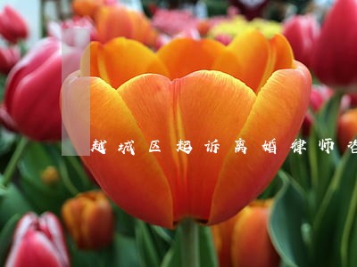 越城区起诉离婚律师咨询网站 越城区起诉离婚律师咨询网站