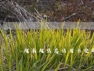 越来越焦虑信用卡逾期 越来越焦虑信用卡逾期