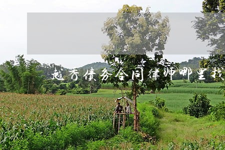 越秀债务合同律师哪里找 越秀债务合同律师哪里找