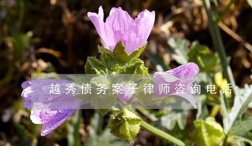 越秀债务案子律师咨询电话 越秀债务案子律师咨询电话