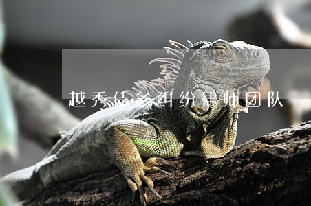 越秀债务纠纷律师团队 越秀债务纠纷律师团队