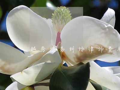 越秀债务纠纷律师费用咨询 越秀债务纠纷律师费用咨询