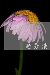越秀债务追讨律师电话 越秀债务追讨律师电话