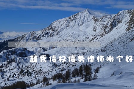 越秀债权债务律师哪个好 越秀债权债务律师哪个好