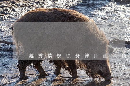 越秀债权债务律师面谈预约 越秀债权债务律师面谈预约