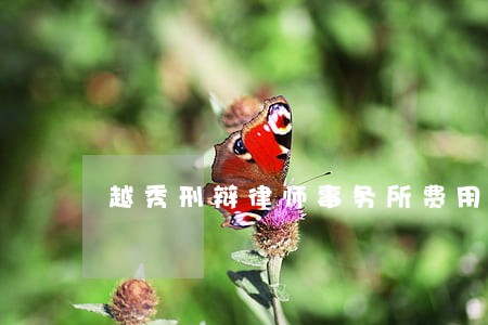 越秀刑辩律师事务所费用大概多少 越秀刑辩律师事务所费用大概多少