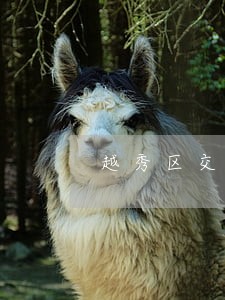 越秀区交通事故在线律师 越秀区交通事故在线律师