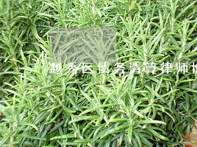 越秀区债务清算律师推荐 越秀区债务清算律师推荐