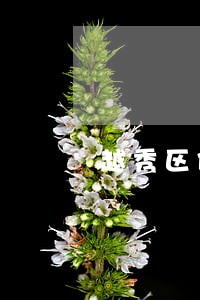 越秀区债务纠纷律师 越秀区债务纠纷律师