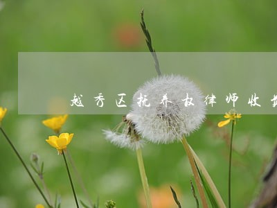 越秀区抚养权律师收费标准 越秀区抚养权律师收费标准