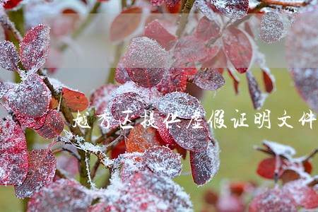 越秀区提供虚假证明文件罪律师 越秀区提供虚假证明文件罪律师