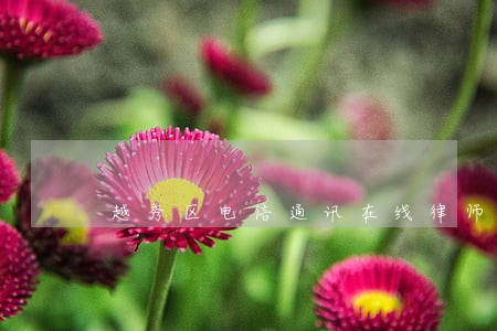 越秀区电信通讯在线律师 越秀区电信通讯在线律师
