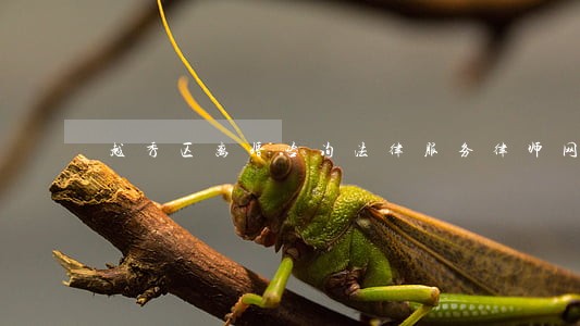越秀区离婚咨询法律服务律师网 越秀区离婚咨询法律服务律师网