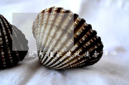 越秀擅长债权债务律师 越秀擅长债权债务律师