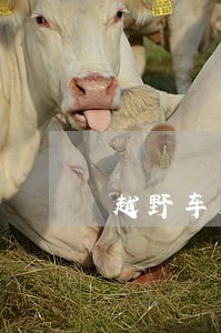 越野车贴花违法吗 越野车贴花违法吗