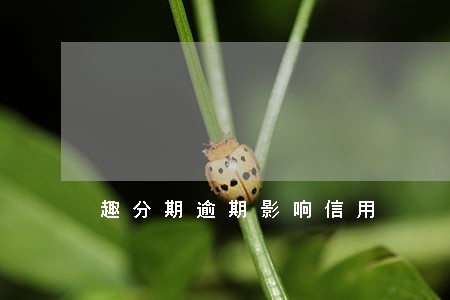 趣分期逾期影响信用 趣分期逾期影响信用