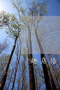 趣店信用逾期还能贷款 趣店信用逾期还能贷款