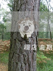 趣店逾期1天会怎么样 趣店逾期1天会怎么样