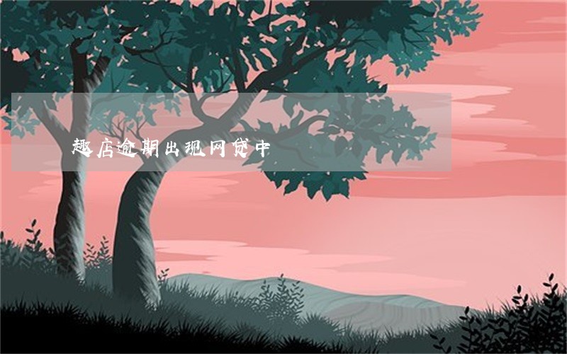 趣店逾期出现网贷中 趣店逾期出现网贷中