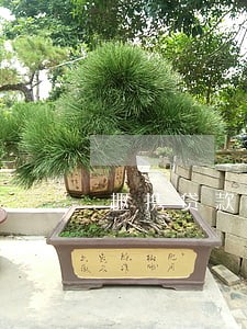 趣携贷款逾期 趣携贷款逾期