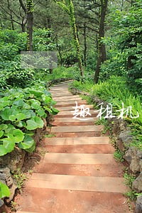 趣租机可不可以只还本金 趣租机可不可以只还本金