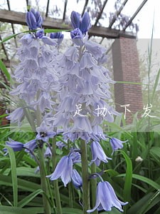 足协下发第一责任人处罚条例 足协下发第一责任人处罚条例