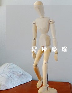 足协章程法律分析 足协章程法律分析