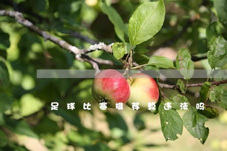 足球比赛推荐算违法吗 足球比赛推荐算违法吗