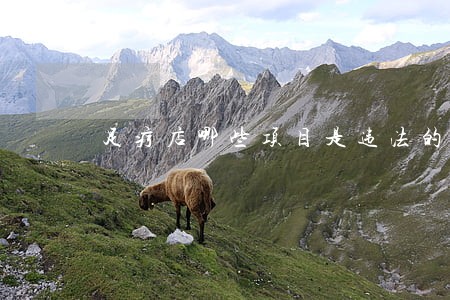 足疗店哪些项目是违法的