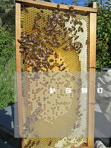 趴在钢钉上的是什么刑法