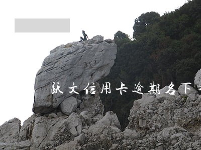 跃文信用卡逾期名下有贷款房
