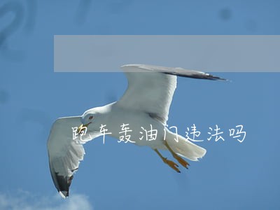 跑车轰油门违法吗