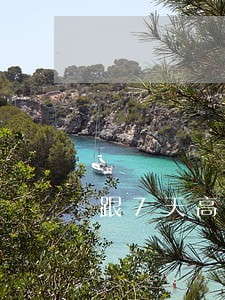 跟7天高炮说只还本金 跟7天高炮说只还本金