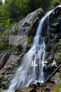 跟前夫同居期间前夫信用卡逾期 跟前夫同居期间前夫信用卡逾期