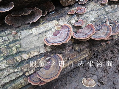 跟同学进行法律咨询 跟同学进行法律咨询