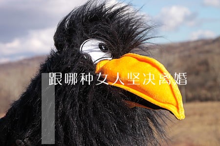 跟哪种女人坚决离婚 跟哪种女人坚决离婚
