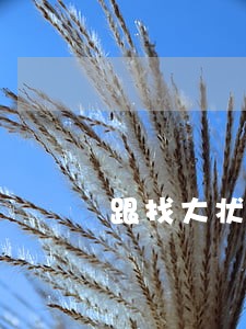 跟找大状的法律顾问服务一样吗 跟找大状的法律顾问服务一样吗