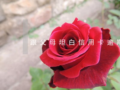 跟父母坦白信用卡逾期 跟父母坦白信用卡逾期