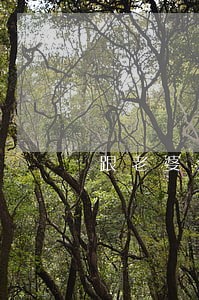 跟老婆分居老婆信用卡逾期
