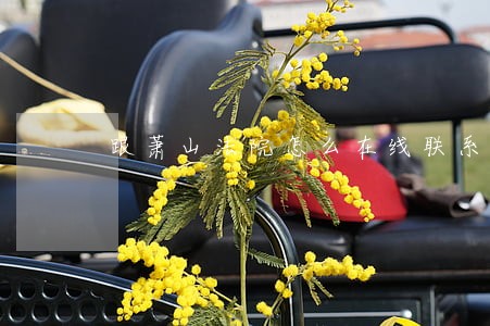 跟萧山法院怎么在线联系 跟萧山法院怎么在线联系