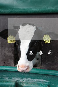 跟银行说负债多逾期 跟银行说负债多逾期