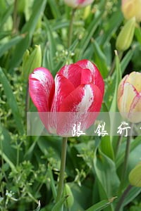 跟银行贷款逾期没还会怎么样 跟银行贷款逾期没还会怎么样