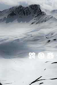 跨国商业贿赂法律规制探析 跨国商业贿赂法律规制探析