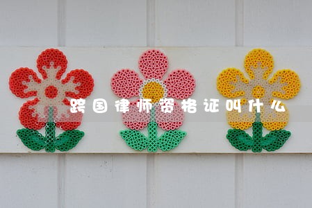 跨国律师资格证叫什么 跨国律师资格证叫什么